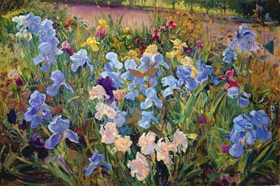 Das Irisbeet, 1993 von Timothy Easton